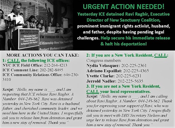 Action Alert_Jan 12th